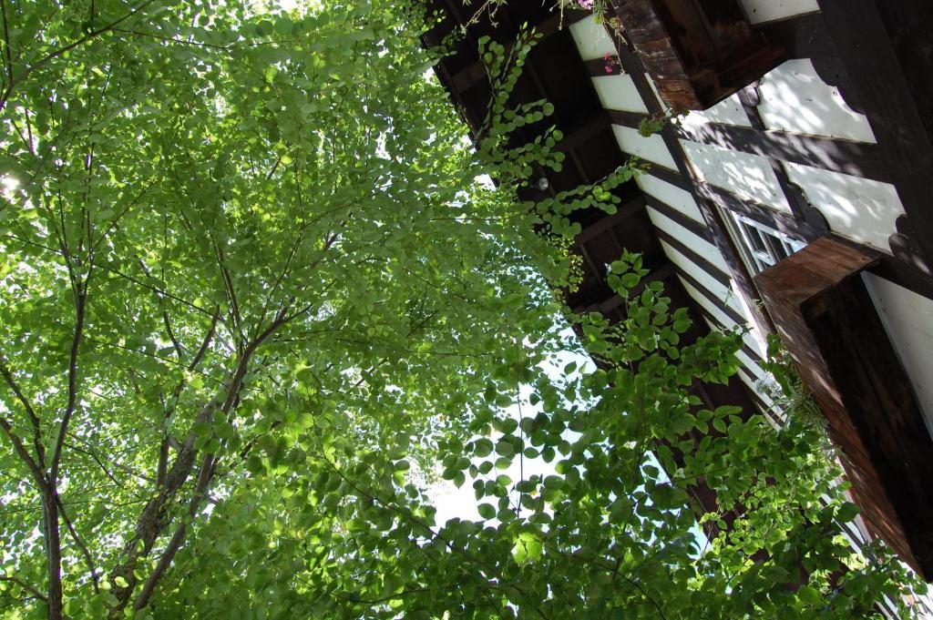 Petit Hotel Alumu 松本市 エクステリア 写真