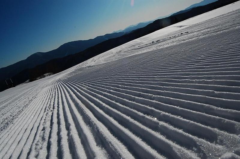 Petit Hotel Alumu 松本市 エクステリア 写真